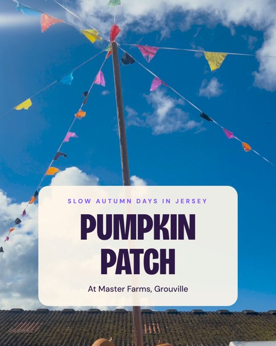 Pumpkin patch reel cover